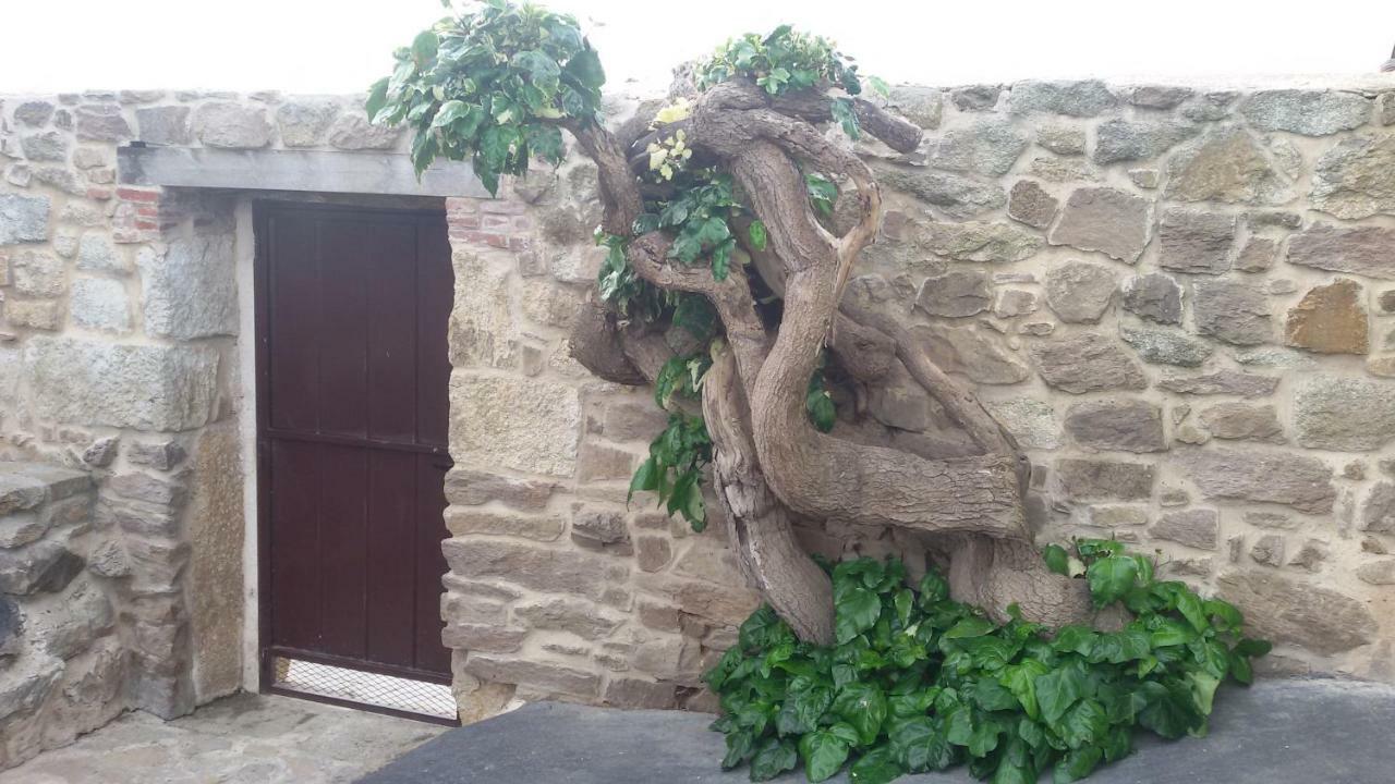 Maison d'hôtes El Pilar De Don Gregorio à Pereruela Extérieur photo